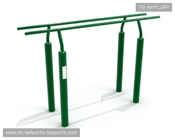 铝制健身器材的优缺点全面解析